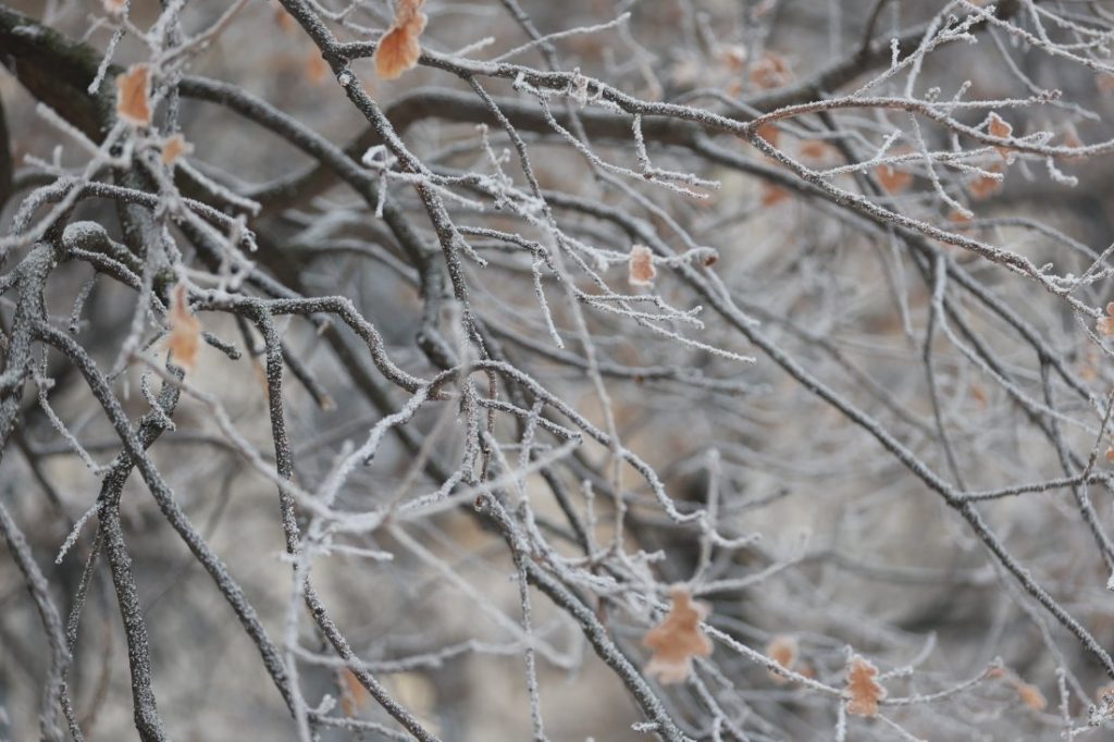 Нова студена вълна обхвана България: Кога ще свършат ледените дни?