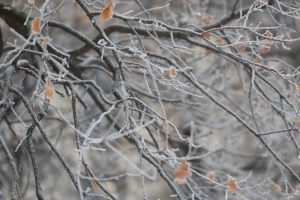 Нова студена вълна обхвана България: Кога ще свършат ледените дни?