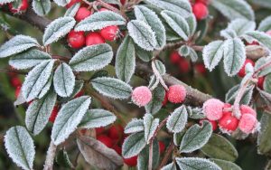 Значителни валежи и рязко застудяване обхващат България, очаква се снежна покривка