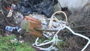 Доброволци чистят кея в Русе, екип на БНТ откри опасен снаряд сред боклуците