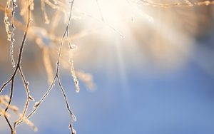 Пролетни температури в Русе: Термометрите отчетоха 14 градуса в края на януари