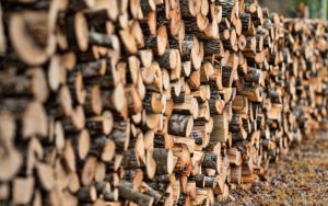 Драстичен спад в търсенето на дърва за огрев в Югозападна България
