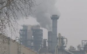 РИОСВ – Велико Търново иска прокурорско съдействие за принудително спиране на завод за дървопреработка