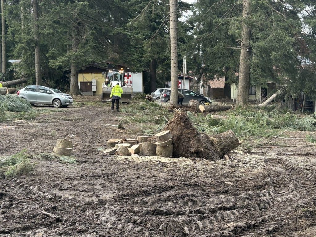 Извършиха санитарна сеч в Боровец след опустошителния ураган