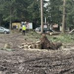 Извършиха санитарна сеч в Боровец след опустошителния ураган