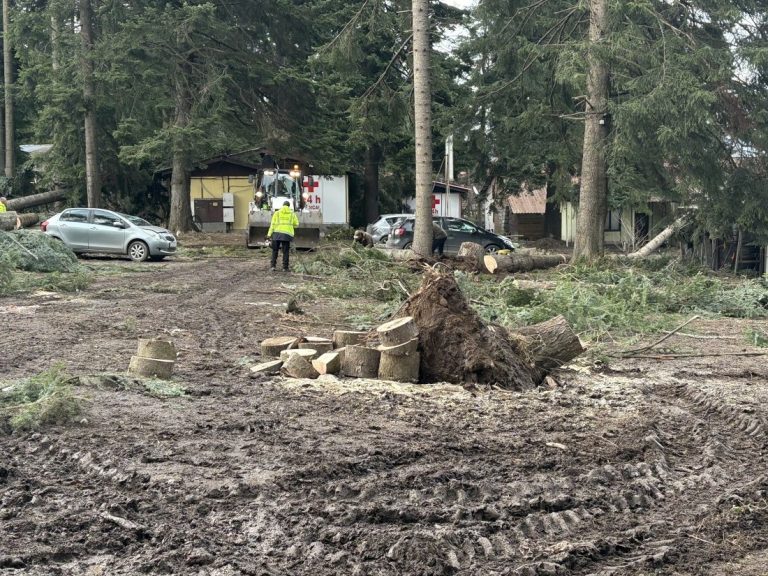 Извършиха санитарна сеч в Боровец след опустошителния ураган
