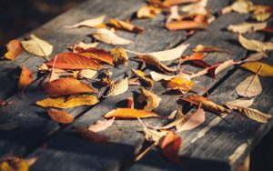 Силен южен вятър с пориви до 100 км/ч обхваща страната, жълт код за 16 области