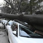 Мощен вятър събори дърво върху кола в София, обявен е жълт код в 26 области