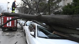 Мощен вятър събори дърво върху кола в София, обявен е жълт код в 26 области