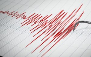 Мощно земетресение с магнитуд 6 разтърси Джаму и Кашмир