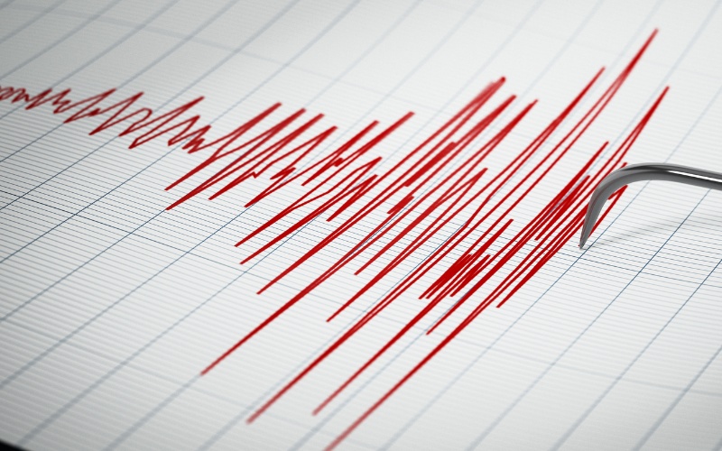 Мощно земетресение с магнитуд 6 разтърси Джаму и Кашмир
