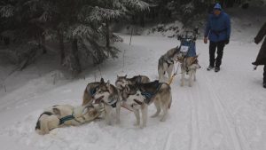 700 хъскита покориха Орличките планини в зрелищна надпревара