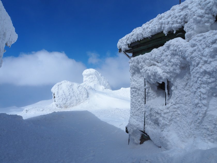 Съществено затопляне след мразовити дни: Прогноза до края на седмицата