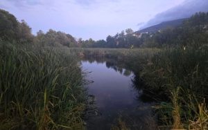 Васил Терзиев спря строителството до Боянското блато