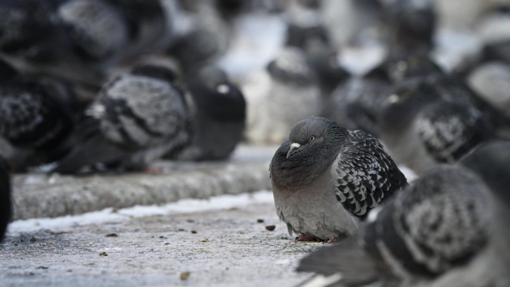 Съществено затопляне предстои след мразовит жълт код