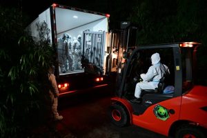 Китай посрещна пандите близнаци Сяо Сяо и Лей Лей след емоционална раздяла с Япония