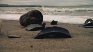 Премиера на „В търсене на потънали светове“: Мария Чернева разкрива тайните на Черно море