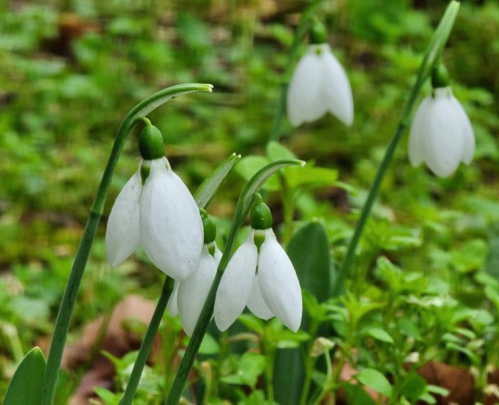 Валежите от дъжд и сняг продължават: Студен фронт носи нова снежна покривка и опасност от наводнения