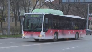 Градският транспорт в Благоевград с хиляди левове загуби заради еврото, но улеснява пътниците