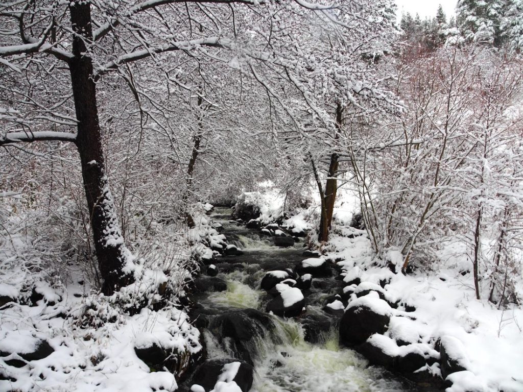 Студът се задържа: Температури под нулата и сняг по Черноморието