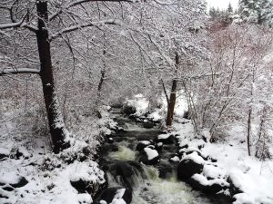 Студът се задържа: Температури под нулата и сняг по Черноморието