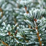 Затоплянето продължава, но сняг и застудяване ни очакват през уикенда