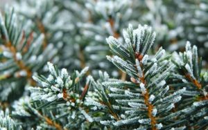 Затоплянето продължава, но сняг и застудяване ни очакват през уикенда