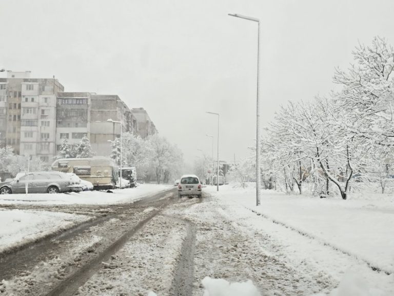 Зимна буря остави десетки села без ток в Северозападна България