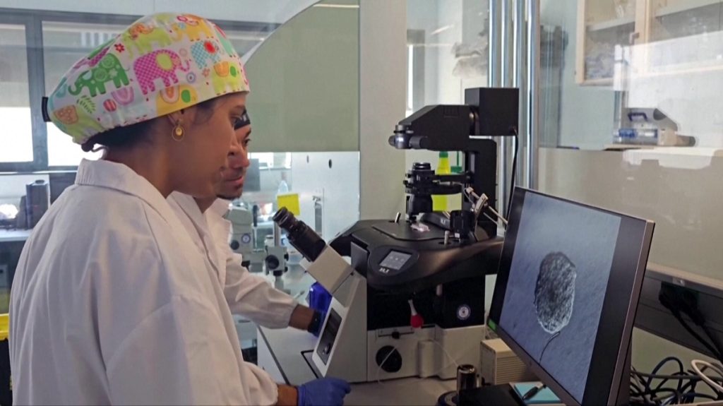 Научни постижения на 2025: От ембриони до бионични очи