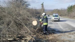 Ураганен вятър във Враца и Мездра: Хиляди без ток, десетки съборени стълбове и дървета