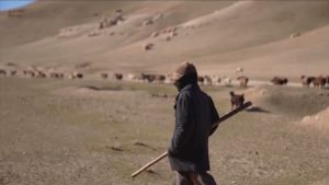 Критична суша в Афганистан: Липсата на сняг обрича животновъдството на гибел