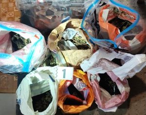 Дилър от Смолян се размина с условна присъда за марихуана за 26 000 евро в Пловдив