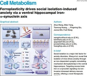 Китайски учени откриха как социалната изолация променя мозъка и предизвиква тревожност
