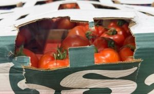 Митничари на Лесово задържаха 14 тона контрабандни зеленчуци в камион с плодове