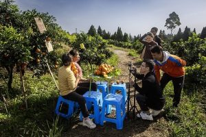 Рекорд в Китай: Онлайн продажбите в селските райони достигнаха 3 трилиона юана