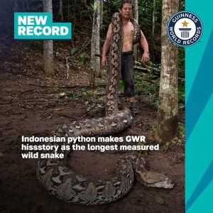 Румънски изследовател откри най-дългата дива змия в света за рекордите на Гинес