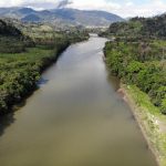 Рекорден спад: Обезлесяването в бразилска Амазония намаля с над 35%