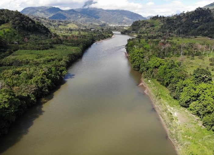 Рекорден спад: Обезлесяването в бразилска Амазония намаля с над 35%