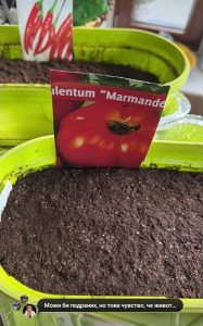 Катето Евро даде старт на градинарския сезон в Кокаляне