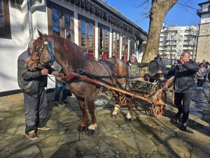 Дама и Николай Колев с отличия за най-добро домашно вино в Добрич