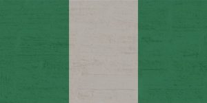 Вълна от насилие в Нигерия: Най-малко 32-ма убити при нападения в три села