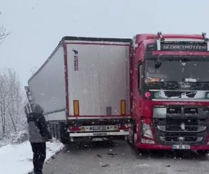 Тежка катастрофа с камиони затвори пътя Видин – Монтана край село Ивановци