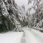 Обилен сняг блокира пътища в Монтанско: Десетки закъсали автомобили и тежки условия на Петрохан