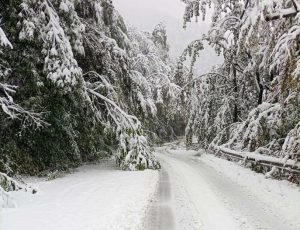 Обилен сняг блокира пътища в Монтанско: Десетки закъсали автомобили и тежки условия на Петрохан