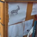 Мистерията в хижа „Петрохан“: Какво символизира козелът в ритуалите на Ивайло Калушев?