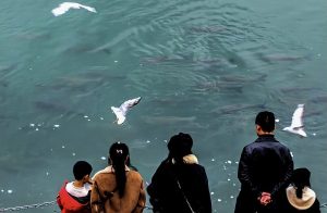 КМГ: Забраната на риболова в река Яндзъ спря спада в биоразнообразието