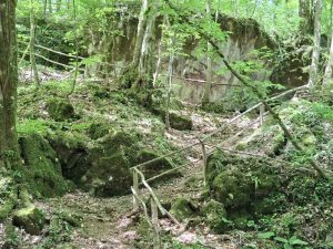 Пътят към Сантяго вдъхновява българско Камино от Странджа до Созопол