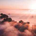 Слънце и температури до 12 градуса ни очакват на 27 февруари