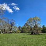 Март носи динамично време: Рекордни 20 градуса на националния празник и магнитни бури