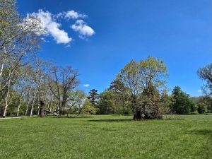 Март носи динамично време: Рекордни 20 градуса на националния празник и магнитни бури